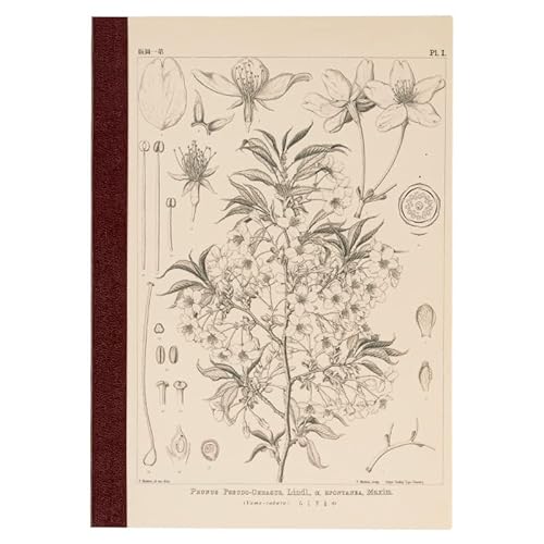 HOBONICHI Techo Accessories Plain Notebook (A5) - Yamazakura von ほぼ日