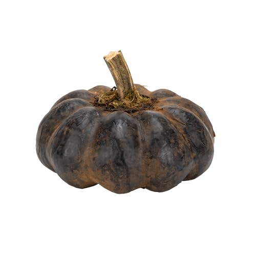 100 North Raggedy Junction Herbstfigur Herbsternte im Used-Look, 17,8 x 14,9 cm, Pappmaché mit echtem Stiel, Schwarz, gedrungener Kürbis 100 North Raggedy Junction Herbstfigur Herbsternte im Used-Look, 17,8 x 14,9 cm, Pappmaché mit echtem Stiel, Schwarz, gedrungener Kürbis von 100 North
