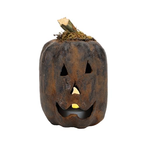 100 North Raggedy Junction Primitive Halloween Distressed Black Paper Maché with Real Pumpkin Stem Teelichthalter Cover Dekoration, Jack-o-Lantern von 100 North