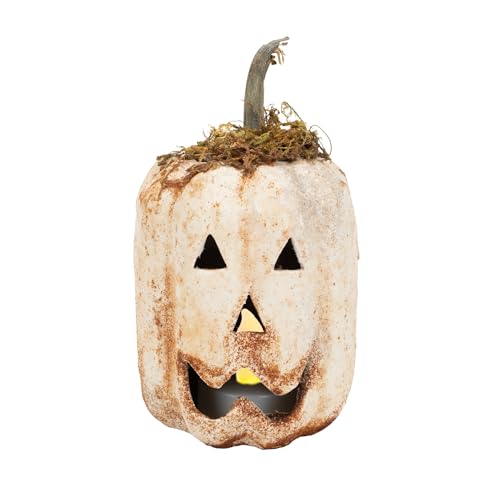 100 North Raggedy Junction Primitive Halloween Distressed White 12,7 x 7,6 cm Pappmaché mit echtem Kürbisstiel, Teelichthalter, Abdeckung, Dekoration, Jack-o-Lantern von 100 North