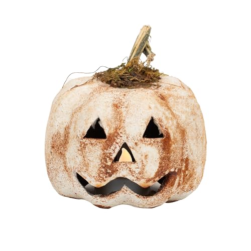 100 North Raggedy Junction Primitive Halloween Distressed White 4 x 4 Inch Paper Mache with Real Pumpkin Stem Tealight Candle Holder Cover Decoration Jack-o-Lantern von 100 North