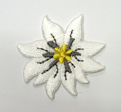1A-Kurzwaren Aufnäher Bügelbild Aufbügler Iron on Patches Applikation Edelweiss Durchmesser 3,5cm Farbe: Weiss vor55-4 1A-Kurzwaren Aufnäher Bügelbild Aufbügler Iron on Patches Applikation Edelweiss Durchmesser 3,5cm Farbe: Weiss vor55-4 von Beichi