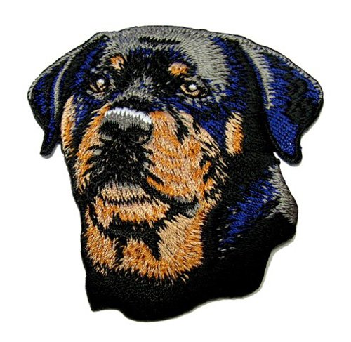 Aufnäher Bügelbild Aufbügler Iron on Patches Applikation Hund Rottweiler 6,5 x 6,5cm vor134-1 von 1A-Kurzwaren