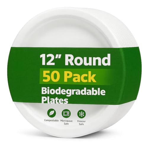 1ABOVE 30,5 cm, 25 Stück, extra starke weiße Einweg-Bagasse-Teller, 100% kompostierbar und biologisch abbaubar, aus Zuckerrohrfaser, perfekt für Grillen, Hochzeit, Büro, Picknicks und Partys, 30,5 cm von 1ABOVE