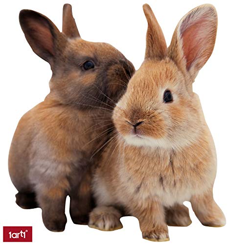1art1 Hasen Zwei Süße Kaninchen Wand-Tattoo | Deko Wandaufkleber für Wohnzimmer Kinderzimmer Küche Bad Flur | Wandsticker für Tür Wand Möbel/Schrank 30x30 cm von 1art1