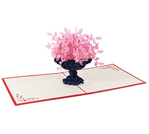 3D KARTE"Blumenbouquet" I Pop-Up Karte als Geburtstagskarte, Geldgeschenk I Klappkarte als Glückwunschkarte, Dankeskarte von 3D Kartenwelt