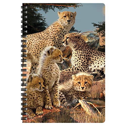3D LiveLife A5 Notizbuch - Cheetah Clan von Deluxebase. 80-seitiges 3D-Geparden-Notizbuch. Schul- oder Büromaterial mit Kunstwerken, von renommierten Künstler David Penfound lizenziert 3D LiveLife A5 Notizbuch - Cheetah Clan von Deluxebase. 80-seitiges 3D-Geparden-Notizbuch. Schul- oder Büromaterial mit Kunstwerken, von renommierten Künstler David Penfound lizenziert von 3D LiveLife
