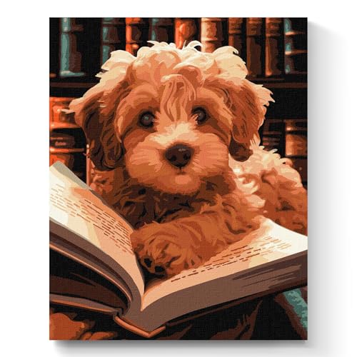 7 Artists Malen nach Zahlen Erwachsene mit Rahmen Fluffy Reader Set 40x50 cm - Leinwand mit Pinseln, Acrylfarben für Malen Erwachsene von 7 Artists