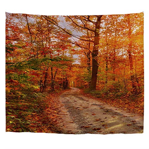 A.Monamour Wandteppiche Herbst Rot Wald Bäume Lange Straße Pfad Park Natur Landschaft Bild Drucken Stoff Wandteppich Wandbehang Vorhang Für Schlafzimmer Wohnzimmer Schlafsaal 180x230cm von A.Monamour