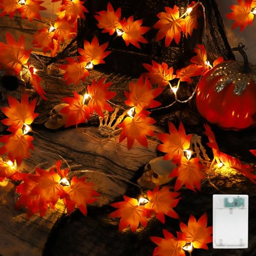 A.bigwhale Herbst Dekoration Lichterkette, 20 LED Ahornblatt Lichterkette mit Timer, Herbst Girlande Licht Blätter Lichterketten Batterie für Party Hochzeit Thanksgiving Erntedankfest Halloween Deko A.bigwhale Herbst Dekoration Lichterkette, 20 LED Ahornblatt Lichterkette mit Timer, Herbst Girlande Licht Blätter Lichterketten Batterie für Party Hochzeit Thanksgiving Erntedankfest Halloween Deko von A.bigwhale