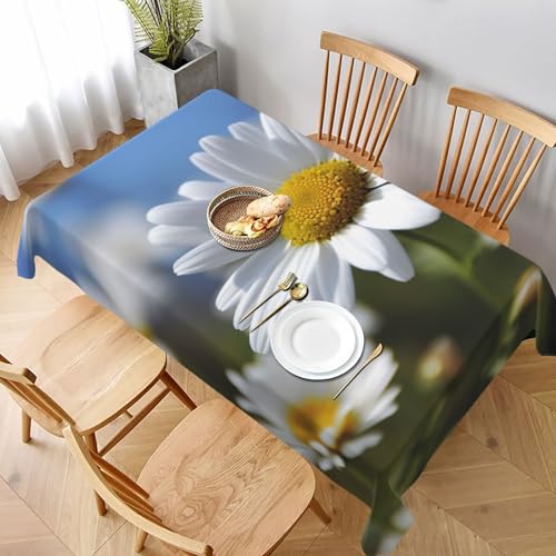 AABSTBFM Rechteckige Tischdecke, 228 x 152 cm, Wildblumen, bedruckt, waschbar, wasserdicht, knitterfrei, Tischdekoration, Tischdecke AABSTBFM Rechteckige Tischdecke, 228 x 152 cm, Wildblumen, bedruckt, waschbar, wasserdicht, knitterfrei, Tischdekoration, Tischdecke von AABSTBFM