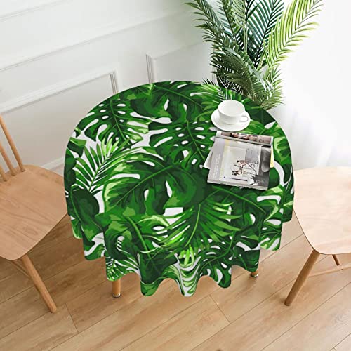 AABSTBFM Runde Tischdecke, 152 x 152 cm, Monstera Deliciosa, Bananenpalme, bedruckt, wiederverwendbar, wasserdicht, knitterfrei, Tischdekoration, Tischdecke, 152 x 152 cm AABSTBFM Runde Tischdecke, 152 x 152 cm, Monstera Deliciosa, Bananenpalme, bedruckt, wiederverwendbar, wasserdicht, knitterfrei, Tischdekoration, Tischdecke, 152 x 152 cm von AABSTBFM