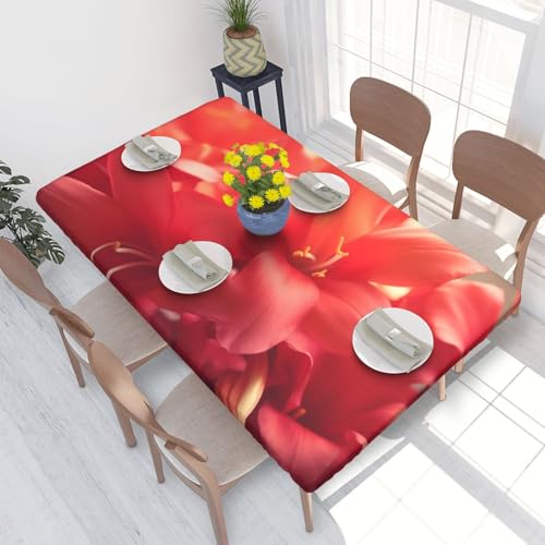 Rechteckige Tischdecke für Esstisch, bedruckt, elastische Kanten, faltenfreie Dekoration, Tischdecke, 122 x 76 cm, Rot Rechteckige Tischdecke für Esstisch, bedruckt, elastische Kanten, faltenfreie Dekoration, Tischdecke, 122 x 76 cm, Rot von AABSTBFM