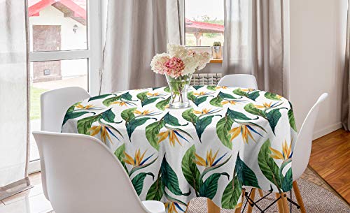 ABAKUHAUS Exotisch Runde Tischdecke, Paradiesvogel Blumen-Kunst, Kreis Tischdecke Abdeckung für Esszimmer Küche Dekoration, 150 cm, Gleb Grün ABAKUHAUS Exotisch Runde Tischdecke, Paradiesvogel Blumen-Kunst, Kreis Tischdecke Abdeckung für Esszimmer Küche Dekoration, 150 cm, Gleb Grün von ABAKUHAUS