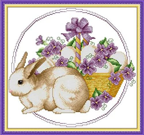 ABEUTY Kreuzstich-Set, schönes Kaninchen für Erwachsene, vorgedruckt oder nicht, DIY 14-fädiges Stickerei-Nähset, gestempelt oder ungestempelt, DMC Nadelarbeit, einfache Anfänger von ABEUTY