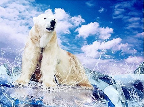 ABEUTY Malen nach Zahlen für Erwachsene Anfänger – Eisbär Eis-Arktis 40,6 x 50,8 cm Zahlengemälde (kein Rahmen) von ABEUTY