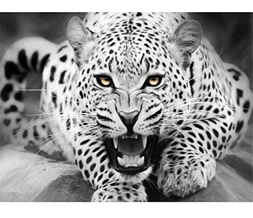 ABEUTY Malen nach Zahlen für Erwachsene Anfänger – Leopard Schwarz & Weiß fechtig 40,6 x 50,8 cm Zahlenmalerei Anti-Stress-Spielzeug (kein Rahmen) von ABEUTY