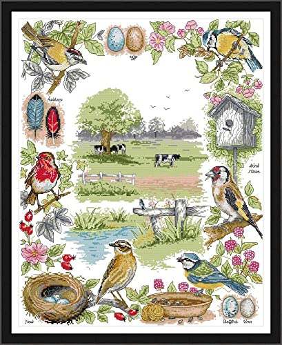 Bedrucktes Kreuzstich-Set für Erwachsene, die Ökologie der Vögel, Tiere, DIY, 14 Karat, Stickerei, Nähen, Starter-Set, gestempelt oder ungestempelt, Handarbeit, Heimdekoration Bedrucktes Kreuzstich-Set für Erwachsene, die Ökologie der Vögel, Tiere, DIY, 14 Karat, Stickerei, Nähen, Starter-Set, gestempelt oder ungestempelt, Handarbeit, Heimdekoration von ABEUTY