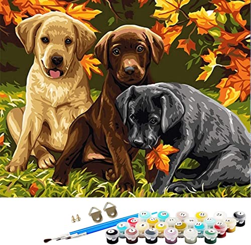 DIY Malen nach Zahlen für Erwachsene, ABEUTY Hund Ahornbaum Pflanze Tier 40x50cm Geschenk von ABEUTY