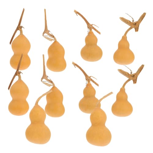 ABOOFAN 10 Stück Teiliges Natürlicher Mini Gourds Leichte Handliche Dekorationen aus Natürlichen Materialien Vielseitige Desktop Kunstwerke und Ornamente im Zufallsstil für Wohnzimmer Büro ABOOFAN 10 Stück Teiliges Natürlicher Mini Gourds Leichte Handliche Dekorationen aus Natürlichen Materialien Vielseitige Desktop Kunstwerke und Ornamente im Zufallsstil für Wohnzimmer Büro von ABOOFAN
