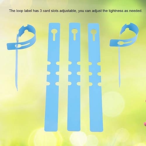 Acagala 100pcs Plastik Kindergarten Pfahl Tags Pflanzenbezeichnungen Rasenschmuck (Blau) von ACAGALA