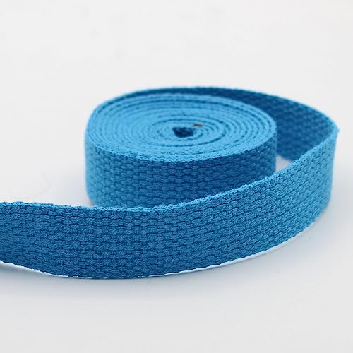 Leduc 3 Meter Gurt aus Baumwolle, für Gepäck, Griff, Tasche, Gürtel, Gurt, Geschirr, Rucksack, Lederwaren, hohe Qualität, Himmelblau (35), 2,5 cm von ACCESSOIRES LEDUC