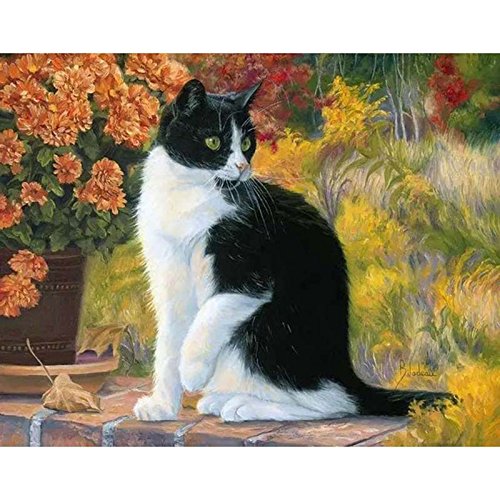 ADLUH CATCOQ DIY Ölgemälde-Set,Malen Nach Zahlen auf Leinwand für Erwachsene Kinder Anfänger – Schwarze Katze 16x20 Zoll(Rahmenlos) von ADLUH