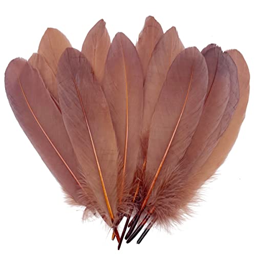 100 Stück braune Gänsefedern, 15,2 - 20,3 cm, für Bastelarbeiten, Hochzeit, Party, Dekoration, Kleidung, Hüte, Accessoires, Traumfänger 100 Stück braune Gänsefedern, 15,2 - 20,3 cm, für Bastelarbeiten, Hochzeit, Party, Dekoration, Kleidung, Hüte, Accessoires, Traumfänger von ADSUBHSJFAKK