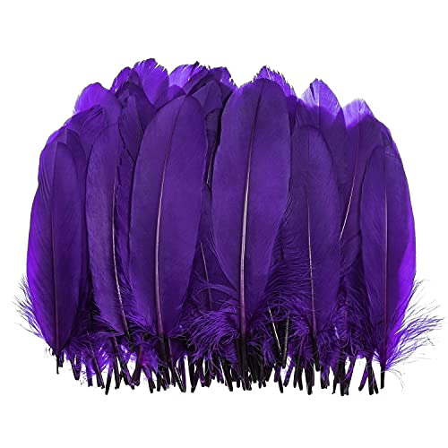 100 Stück natürliche lila Gänsefedern in Großpackung 15–20 cm für Cupcake-Dekorationen, DIY-Kunst und Traumfänger von ADSUBHSJFAKK
