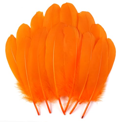 120 orangefarbene Gänsefedern, natürlich, 15-20 cm, für Bastelarbeiten, Cosplay, Hochzeit, Party, Halloween, Dekoration, Gänsefedern, Nagoire 120 orangefarbene Gänsefedern, natürlich, 15-20 cm, für Bastelarbeiten, Cosplay, Hochzeit, Party, Halloween, Dekoration, Gänsefedern, Nagoire von ADSUBHSJFAKK