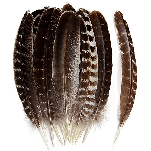 24 Stück natürliche Truthahn-Flügelfedern, Großpackung, 15-20 cm, für Bastelarbeiten, Projekte, Sammlung, Hochzeitsdekoration, Wildtruthahnschwanzfedern von ADSUBHSJFAKK