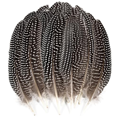 24 Stück natürliche gepunktete Federn, Perlhuhn-Flügelfedern, 15,2–20,3 cm, Großpackung für Handwerk, Kleidung, Schmuck, DIY, Dekoration, Perlhuhn-Flügelfedern 24 Stück natürliche gepunktete Federn, Perlhuhn-Flügelfedern, 15,2–20,3 cm, Großpackung für Handwerk, Kleidung, Schmuck, DIY, Dekoration, Perlhuhn-Flügelfedern von ADSUBHSJFAKK