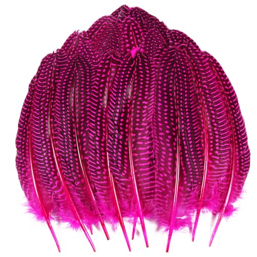 24 Stück rosa natürliche gepunktete Federn Perlhuhn-Flügelfedern 15,2–20,3 cm Großpackung für Bastelarbeiten, Kleidung, Schmuck, DIY-Dekoration, Perlhuhn-Flügelfedern 24 Stück rosa natürliche gepunktete Federn Perlhuhn-Flügelfedern 15,2–20,3 cm Großpackung für Bastelarbeiten, Kleidung, Schmuck, DIY-Dekoration, Perlhuhn-Flügelfedern von ADSUBHSJFAKK