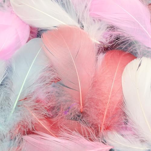 360 bunte Federn, 7,6–12,7 cm, verschiedene Regenbogenfarben, Federn für Kinder, für selbstgemachte Hochzeiten, Zuhause, Partys, Dekorationen, natürliche Feder, Morandi 360 bunte Federn, 7,6–12,7 cm, verschiedene Regenbogenfarben, Federn für Kinder, für selbstgemachte Hochzeiten, Zuhause, Partys, Dekorationen, natürliche Feder, Morandi von ADSUBHSJFAKK