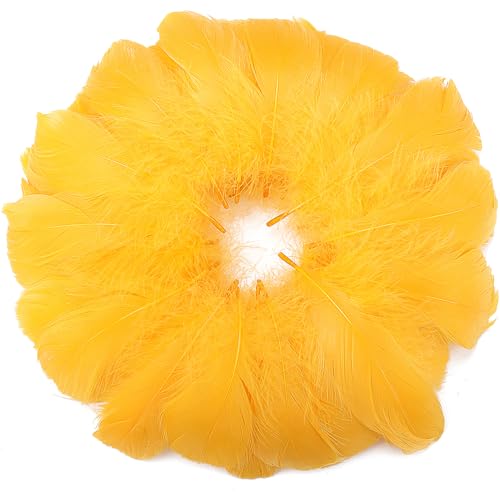 360 goldgelbe Federn, 7,6–12,7 cm, Bastelfedern, verschiedene Regenbogenfarben, Federn für Kinder, für selbstgemachte Hochzeiten, Zuhause, Partys, Dekorationen, natürliche Federn 360 goldgelbe Federn, 7,6–12,7 cm, Bastelfedern, verschiedene Regenbogenfarben, Federn für Kinder, für selbstgemachte Hochzeiten, Zuhause, Partys, Dekorationen, natürliche Federn von ADSUBHSJFAKK