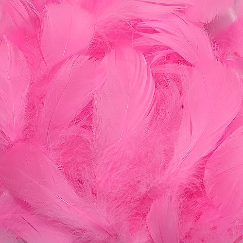 360 rosa Federn, 7,6–12,7 cm, Bastelfedern, verschiedene Regenbogenfarben, Federn für Kinder, für selbstgemachte Hochzeiten, Zuhause, Partys, Dekorationen, natürliche Federn 360 rosa Federn, 7,6–12,7 cm, Bastelfedern, verschiedene Regenbogenfarben, Federn für Kinder, für selbstgemachte Hochzeiten, Zuhause, Partys, Dekorationen, natürliche Federn von ADSUBHSJFAKK