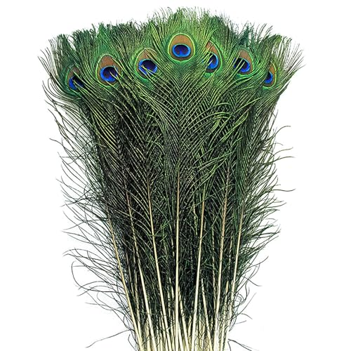 50 Stück natürliche Pfauenfedern in Großpackung, 50–60 cm, für Bastelarbeiten, Hochzeiten, Dekoration 50 Stück natürliche Pfauenfedern in Großpackung, 50–60 cm, für Bastelarbeiten, Hochzeiten, Dekoration von ADSUBHSJFAKK