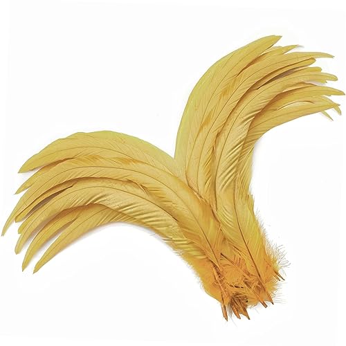 60 gelbe Hahnfedern, 30,5–35,6 cm, natürliche, lange Hahnschwanzfedern, Großpackung für Bastelarbeiten, Karneval, Maskerade, Party, Kostüm, Dekoration (Goldgelb) von ADSUBHSJFAKK