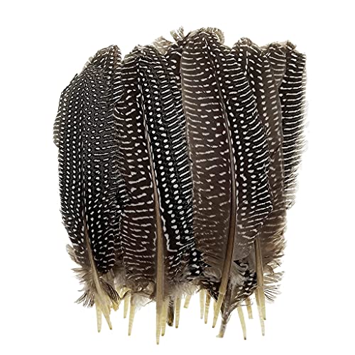 ADSUBHSJFAKK 15,2–20,3 cm Perlhuhnflügel-Kiel, Fasan, Gefieder, Federn zum Basteln, zur Herstellung von Federn, Masken, Dekoration, 20 Stück (Perlhuhnflügel) von ADSUBHSJFAKK