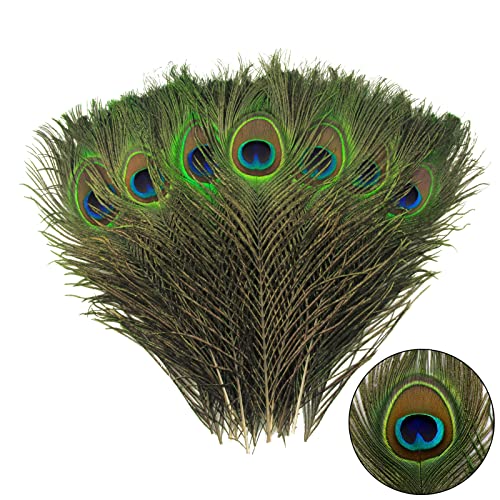 ADSUBHSJFAKK Pfauenfedern, natürlich, 25–30 cm, für Bastelvasen, Hochzeit, Zuhause, Party, Weihnachten, Dekoration, Pfauenfedern, 12 Stück ADSUBHSJFAKK Pfauenfedern, natürlich, 25–30 cm, für Bastelvasen, Hochzeit, Zuhause, Party, Weihnachten, Dekoration, Pfauenfedern, 12 Stück von ADSUBHSJFAKK