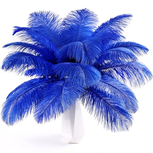 Blaue Straußenfedern, 24 Stück, natürlich, 20-25 cm, für Bastelarbeiten, Hochzeit, Party, Tafelaufsätze, Ostern, Gatsbi und Heimdekoration, Federn Blaue Straußenfedern, 24 Stück, natürlich, 20-25 cm, für Bastelarbeiten, Hochzeit, Party, Tafelaufsätze, Ostern, Gatsbi und Heimdekoration, Federn von ADSUBHSJFAKK