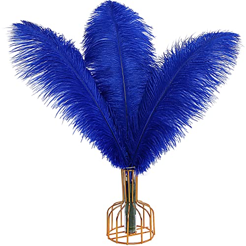 Blaue Straußenfedern, groß, natürlich, 40 cm - 45 cm, für Hochzeit, Party, Tafelaufsatz, Halloween und Heimdekoration, Federn, 12 Stück Blaue Straußenfedern, groß, natürlich, 40 cm - 45 cm, für Hochzeit, Party, Tafelaufsatz, Halloween und Heimdekoration, Federn, 12 Stück von ADSUBHSJFAKK