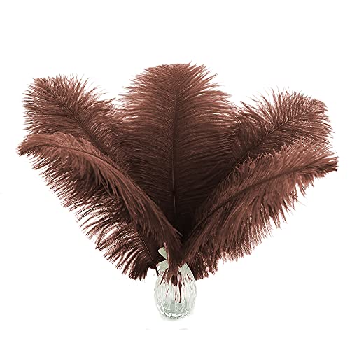 Braune Straußenfedern, Großpackung – 25,4–30,5 cm, Boho-Federn für Vasen, Hochzeitsfeiern, Tafelaufsätze und Heimdekoration, 24 Stück Braune Straußenfedern, Großpackung – 25,4–30,5 cm, Boho-Federn für Vasen, Hochzeitsfeiern, Tafelaufsätze und Heimdekoration, 24 Stück von ADSUBHSJFAKK