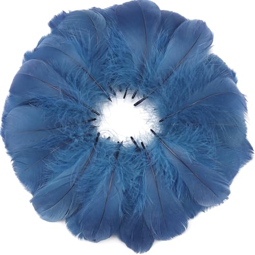 Bunte Federn, 7,6–12,7 cm, verschiedene Regenbogenfarben, Federn für Kinder, für selbstgemachte Hochzeit, Zuhause, Party, Dekoration, natürliche Feder, Marineblau, 360 Stück Bunte Federn, 7,6–12,7 cm, verschiedene Regenbogenfarben, Federn für Kinder, für selbstgemachte Hochzeit, Zuhause, Party, Dekoration, natürliche Feder, Marineblau, 360 Stück von ADSUBHSJFAKK