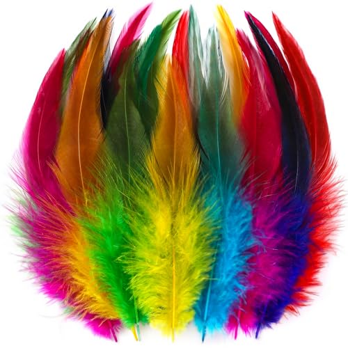 Bunte Hahn Federn – 200 Stück, 12,7–17,8 cm, farbige Federn, Großpackung für Kindergarten, Bastelarbeiten, Kunstprojekte und Party-Dekorationen (bunt) von ADSUBHSJFAKK
