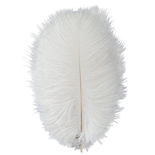 Bunte Straußenfedern, Bastelfedern für Zuhause, Hochzeit, Party, Dekoration, 15–20 cm, Weiß, 20 Stück Bunte Straußenfedern, Bastelfedern für Zuhause, Hochzeit, Party, Dekoration, 15–20 cm, Weiß, 20 Stück von ADSUBHSJFAKK