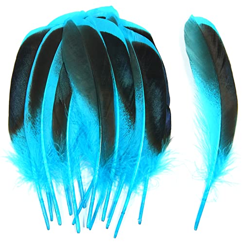 Entenfedern, 10–15 cm, Großpackung für Handarbeit, Kleidung, Hüte, Zuhause, Hochzeit, Party, Dekoration, Federn, Aquablau, 120 Stück Entenfedern, 10–15 cm, Großpackung für Handarbeit, Kleidung, Hüte, Zuhause, Hochzeit, Party, Dekoration, Federn, Aquablau, 120 Stück von ADSUBHSJFAKK