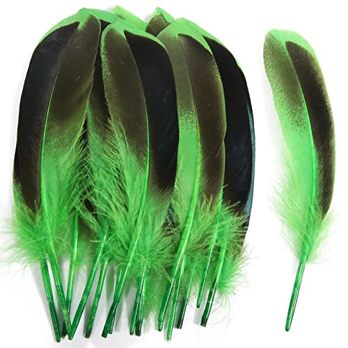 Entenfedern, 10–15 cm, Großpackung für Handarbeit, Kleidung, Hüte, Zuhause, Hochzeit, Party, Dekoration, Federn, Grasgrün, 120 Stück Entenfedern, 10–15 cm, Großpackung für Handarbeit, Kleidung, Hüte, Zuhause, Hochzeit, Party, Dekoration, Federn, Grasgrün, 120 Stück von ADSUBHSJFAKK
