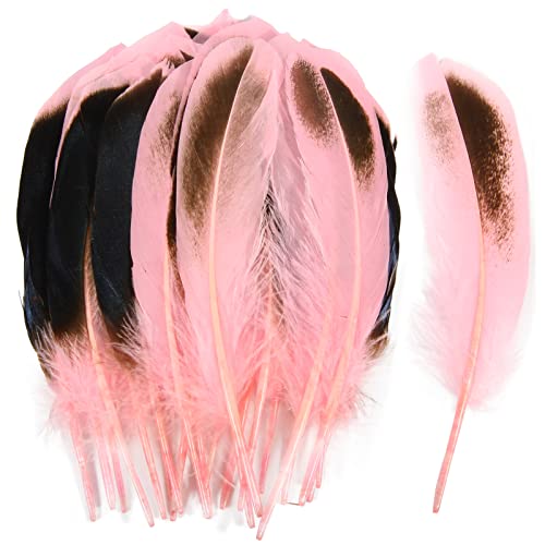 Entenfedern, 10–15 cm, Großpackung für Handarbeit, Kleidung, Hüte, Zuhause, Hochzeit, Party, Dekoration, Federn, Rosa, 120 Stück Entenfedern, 10–15 cm, Großpackung für Handarbeit, Kleidung, Hüte, Zuhause, Hochzeit, Party, Dekoration, Federn, Rosa, 120 Stück von ADSUBHSJFAKK