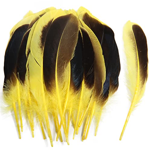 Entenfedern, 10-15 cm, Großpackung für Handarbeit, Kleidung, Hüte, Zuhause, Hochzeit, Party, Dekoration, Gelb, 120 Stück Entenfedern, 10-15 cm, Großpackung für Handarbeit, Kleidung, Hüte, Zuhause, Hochzeit, Party, Dekoration, Gelb, 120 Stück von ADSUBHSJFAKK